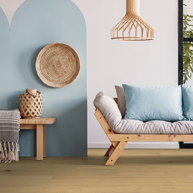 Chêne blanc européen