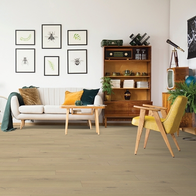 European white oak - Ville historique