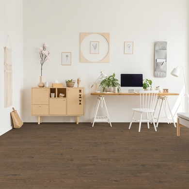 Chêne blanc européen