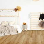 Russule charbonière