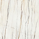 LICHEN RAINFOREST POLI RET